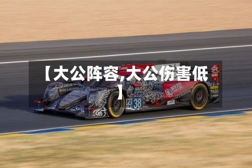 【大公阵容,大公伤害低】