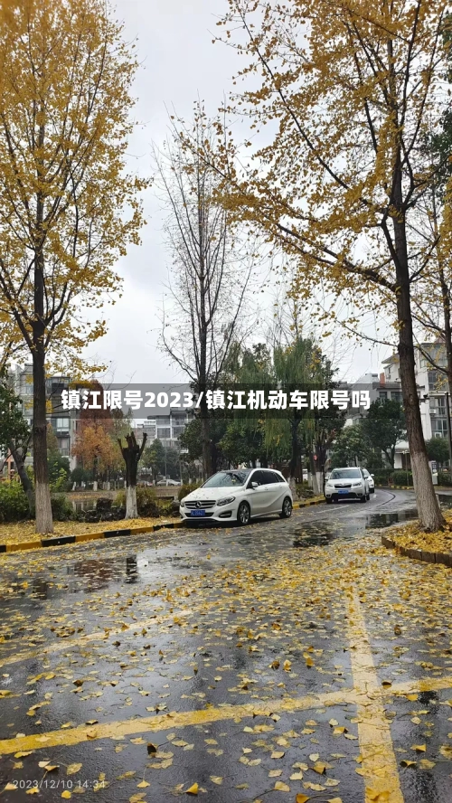 镇江限号2023/镇江机动车限号吗-第2张图片