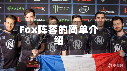 Fox阵容的简单介绍