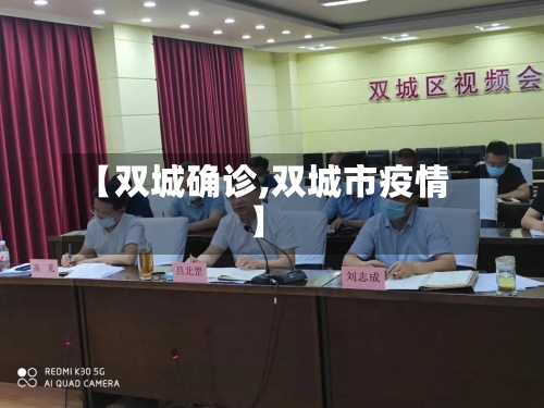 【双城确诊,双城市疫情】-第2张图片