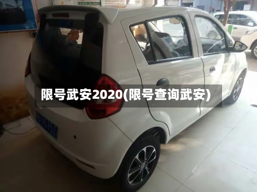 限号武安2020(限号查询武安)-第2张图片