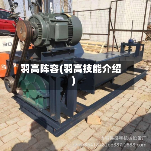 羽高阵容(羽高技能介绍)-第3张图片