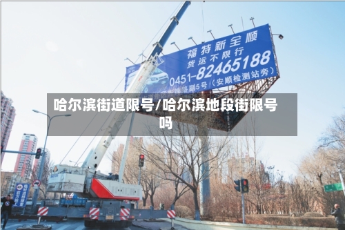 哈尔滨街道限号/哈尔滨地段街限号吗-第3张图片