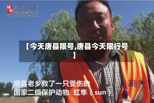 【今天唐县限号,唐县今天限行号】