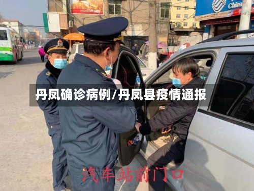 丹凤确诊病例/丹凤县疫情通报-第3张图片