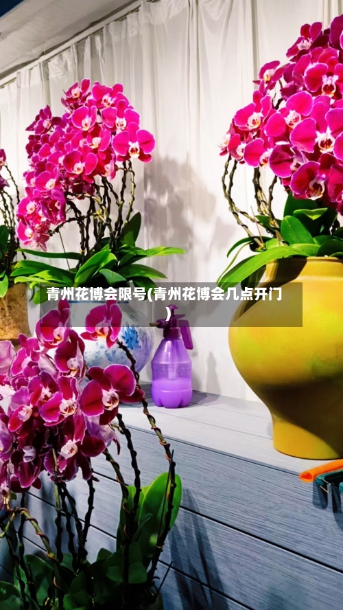 青州花博会限号(青州花博会几点开门)