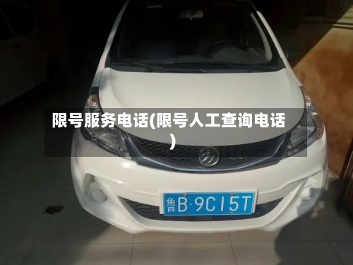 限号服务电话(限号人工查询电话)-第2张图片