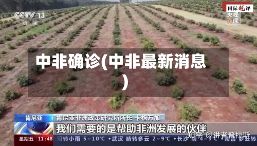 中非确诊(中非最新消息)