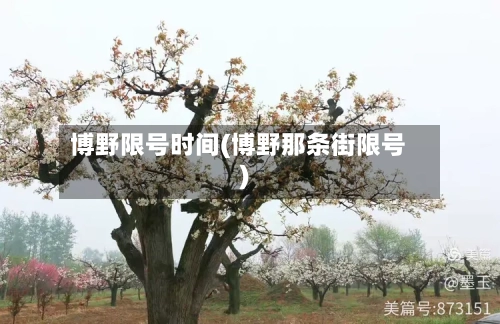 博野限号时间(博野那条街限号)-第2张图片