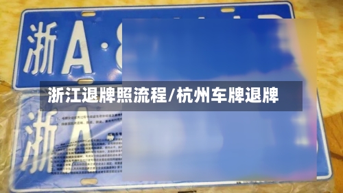 浙江退牌照流程/杭州车牌退牌-第3张图片