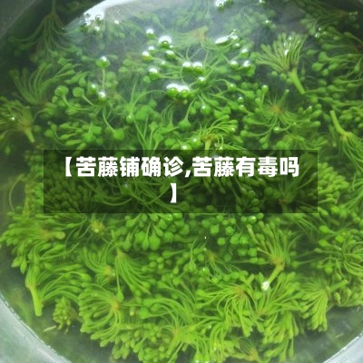 【苦藤铺确诊,苦藤有毒吗】