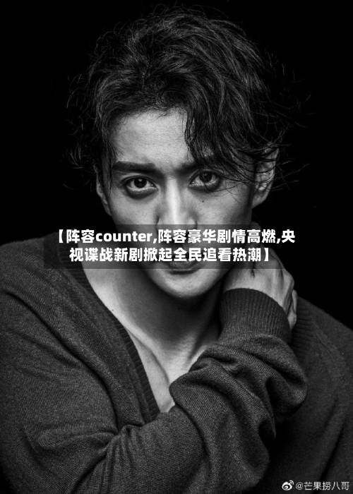 【阵容counter,阵容豪华剧情高燃,央视谍战新剧掀起全民追看热潮】-第3张图片