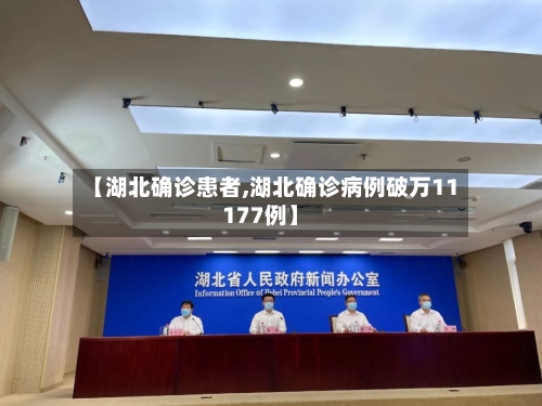 【湖北确诊患者,湖北确诊病例破万11177例】-第2张图片