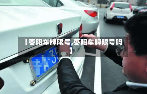 【枣阳车牌限号,枣阳车牌限号吗】-第2张图片