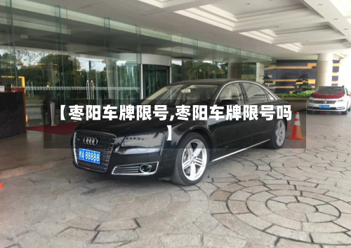 【枣阳车牌限号,枣阳车牌限号吗】-第3张图片
