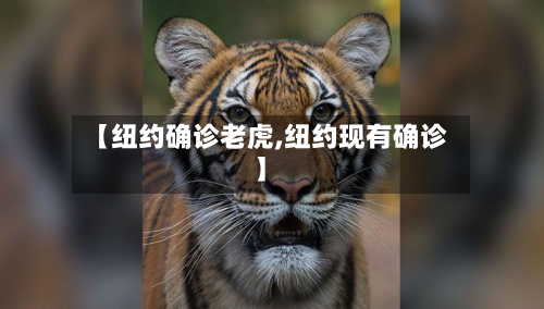【纽约确诊老虎,纽约现有确诊】