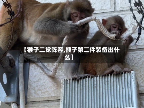 【猴子二觉阵容,猴子第二件装备出什么】