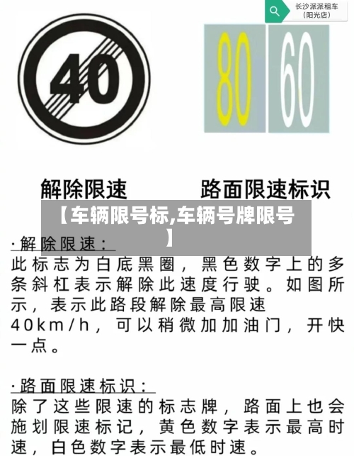【车辆限号标,车辆号牌限号】