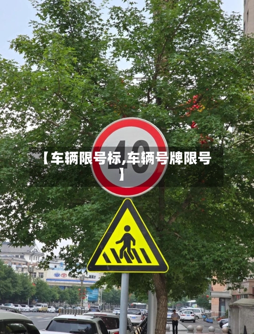 【车辆限号标,车辆号牌限号】-第2张图片