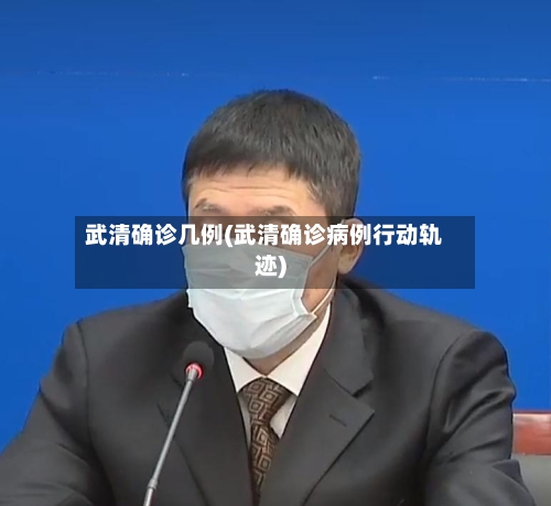 武清确诊几例(武清确诊病例行动轨迹)-第2张图片