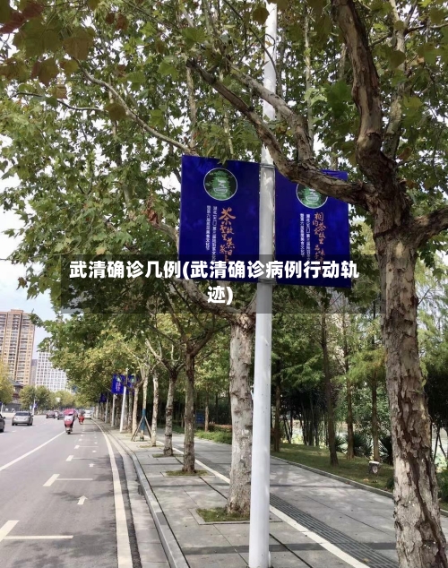 武清确诊几例(武清确诊病例行动轨迹)-第3张图片