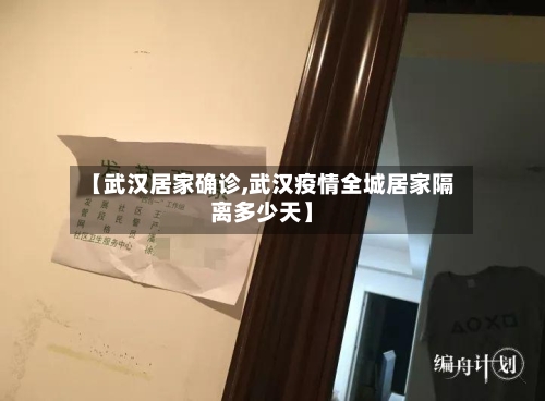 【武汉居家确诊,武汉疫情全城居家隔离多少天】-第2张图片