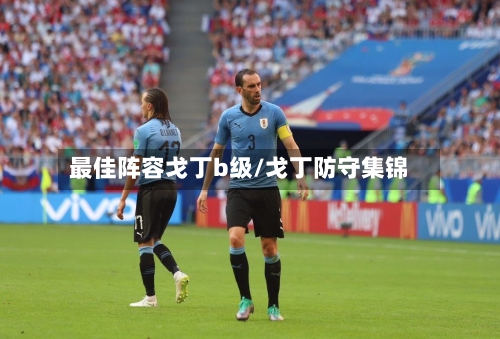 最佳阵容戈丁b级/戈丁防守集锦-第3张图片