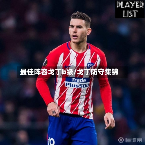 最佳阵容戈丁b级/戈丁防守集锦-第2张图片