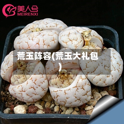 荒玉阵容(荒玉大礼包)
