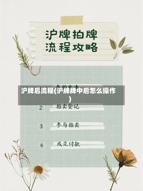 沪牌后流程(沪牌牌中后怎么操作)