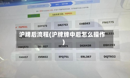 沪牌后流程(沪牌牌中后怎么操作)-第2张图片