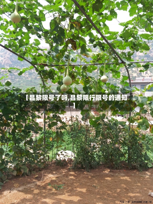 【昌黎限号了吗,昌黎限行限号的通知】-第2张图片