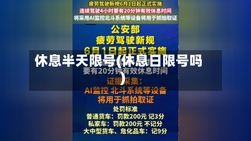 休息半天限号(休息日限号吗)-第3张图片