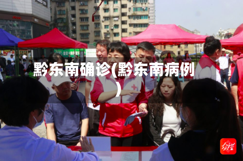 黔东南确诊(黔东南病例)-第2张图片