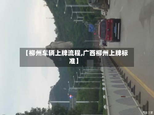 【柳州车辆上牌流程,广西柳州上牌标准】-第2张图片