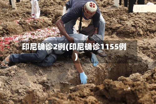 印尼确诊2例(印尼确诊1155例)