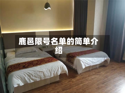 鹿邑限号名单的简单介绍