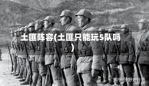 土匪阵容(土匪只能玩5队吗)