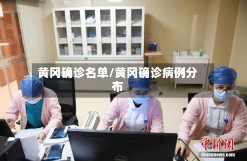 黄冈确诊名单/黄冈确诊病例分布-第3张图片