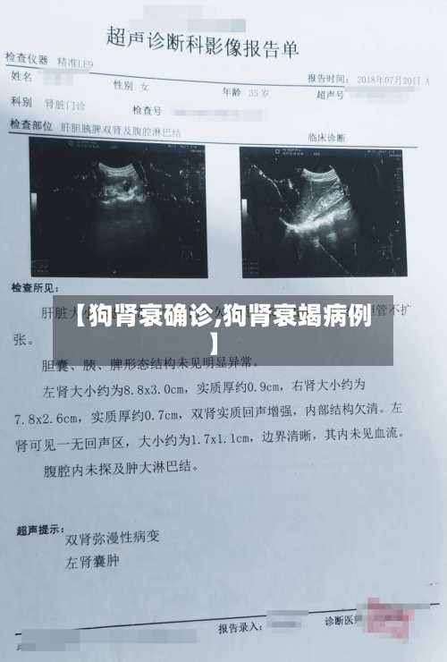 【狗肾衰确诊,狗肾衰竭病例】