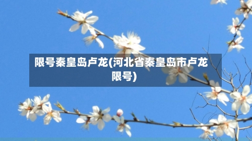 限号秦皇岛卢龙(河北省秦皇岛市卢龙限号)-第3张图片