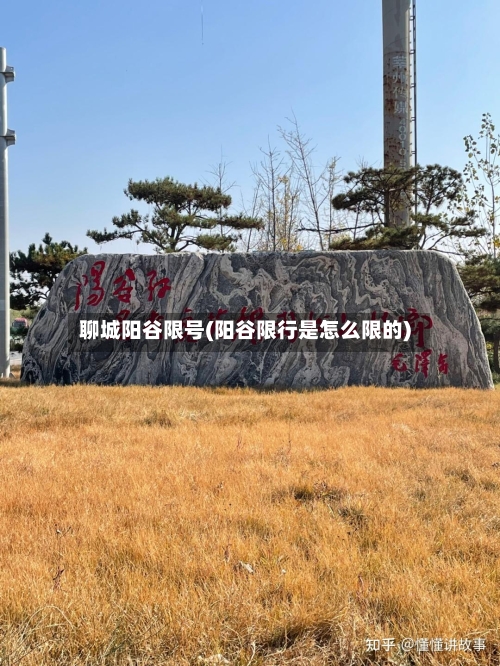 聊城阳谷限号(阳谷限行是怎么限的)-第2张图片