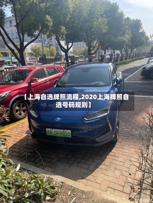 【上海自选牌照流程,2020上海牌照自选号码规则】-第2张图片