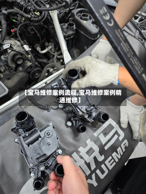 【宝马维修案例流程,宝马维修案例精通维修】