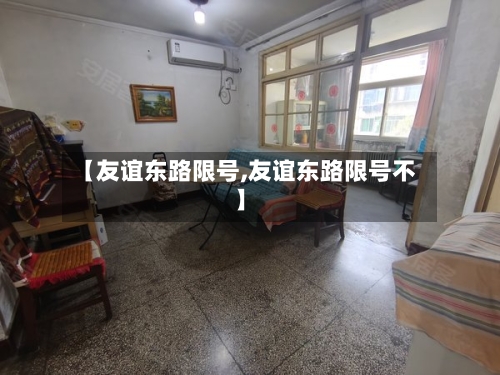 【友谊东路限号,友谊东路限号不】-第3张图片