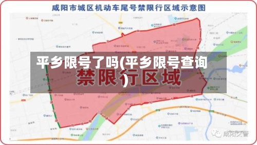 平乡限号了吗(平乡限号查询)-第2张图片