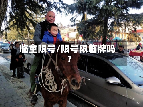 临童限号/限号限临牌吗?-第3张图片