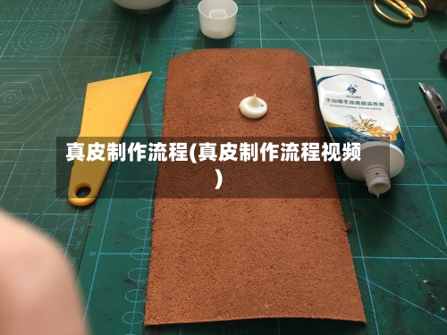 真皮制作流程(真皮制作流程视频)