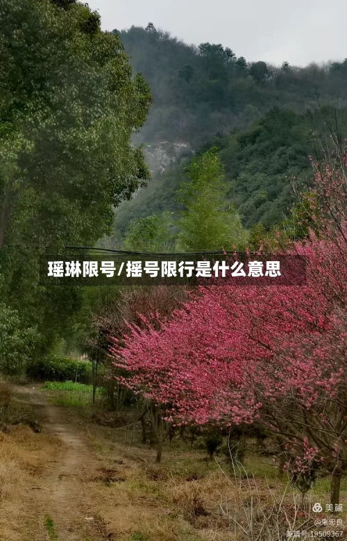 瑶琳限号/摇号限行是什么意思-第2张图片