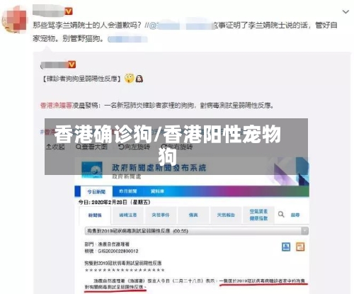 香港确诊狗/香港阳性宠物狗
